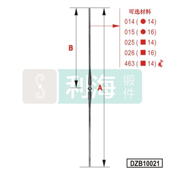 DZB10021的图片