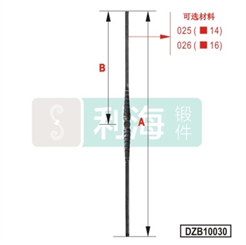 DZB10030的图片