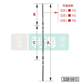 DZB10013的图片