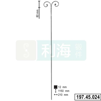 197.45.024的图片